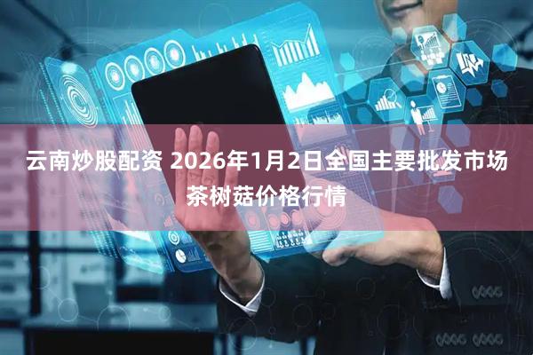 云南炒股配资 2026年1月2日全国主要批发市场茶树菇价格行情