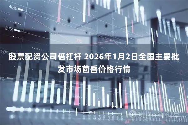 股票配资公司倍杠杆 2026年1月2日全国主要批发市场茴香价格行情