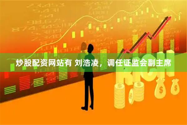 炒股配资网站有 刘浩凌，调任证监会副主席